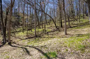 20342 Blackhawk Ave, Warrens,warrens, WI 54666 - Photo 82