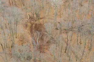 E10919 Hatchery Rd, Baraboo, WI 53913 - Photo 54