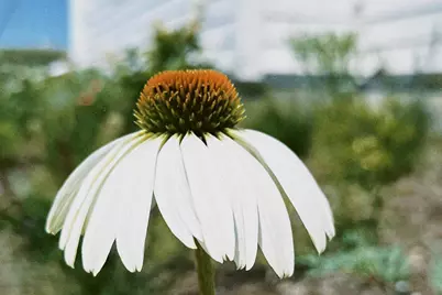 4029 Serenbe Street, Middleton, WI 53562 - Photo 62