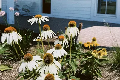 4029 Serenbe Street, Middleton, WI 53562 - Photo 60