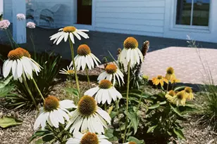 4029 Serenbe St, Middleton, WI 53562 - Photo 60