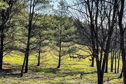 3265 Bergum Road, Mount Horeb, WI 53572 - Photo 82