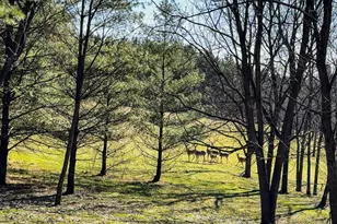 3265 Bergum Rd, Mount Horeb, WI 53572 - Photo 82