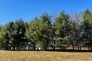 3265 Bergum Rd, Mount Horeb, WI 53572 - Photo 80