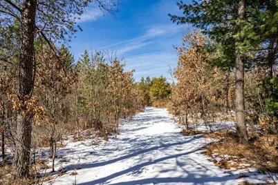 Lot 2 18th Street, Necedah, WI 54646 - Photo 16