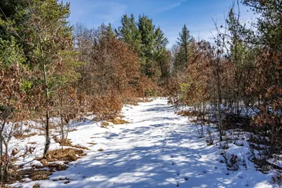 Lot 2 18th Street, Necedah, WI 54646 - Photo 4