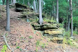 55 Bowman Rd, Wisconsin Dells, WI 53965 - Photo 74