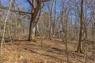 S7628 Grandview Ave, Merrimac, WI 53561 - Photo 72