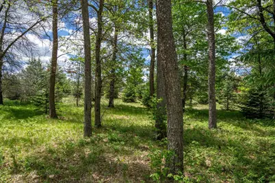 N8034 North Shore Drive, New Lisbon, WI 53950 - Photo 30