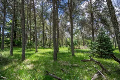 N8034 North Shore Drive, New Lisbon, WI 53950 - Photo 42