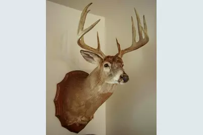 949 Fur Avenue, Springville, WI 53965 - Photo 10