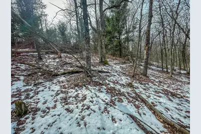 949 Fur Avenue, Springville, WI 53965 - Photo 34