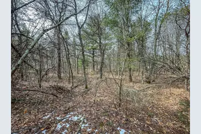 949 Fur Avenue, Springville, WI 53965 - Photo 30