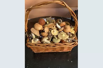 N7583 State Road 58, New Lisbon, WI 53950 - Photo 76