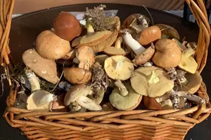 N7583 State Road 58, New Lisbon, WI 53950 - Photo 76