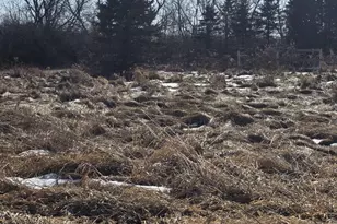 215 E Logan St, Tomah, WI 54660 - Photo 38