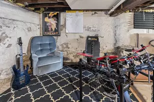 1137 Elizabeth St, Madison, WI 53703 - Photo 58