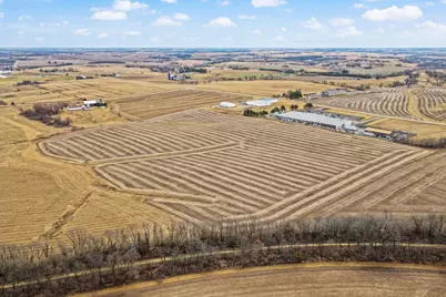 66.42 Acres North Of Town Of Dodgeville, Ridgeville, WI 53533 - Photo 8