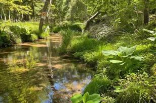 3622 13th Ave, Wisconsin Dells, WI 53965 - Photo 36