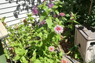 533 Shady Wood Way, Madison, WI 53714 - Photo 42