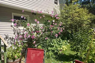 533 Shady Wood Way, Madison, WI 53714 - Photo 38