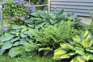 N2493 Kunz Rd, Fort Atkinson, WI 53538 - Photo 38