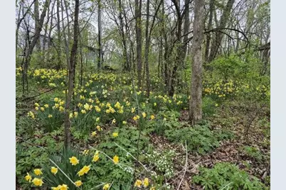 N2493 Kunz Road, Fort Atkinson, WI 53538 - Photo 38