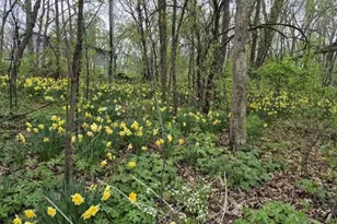 N2493 Kunz Rd, Fort Atkinson, WI 53538 - Photo 38