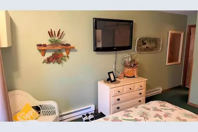 1093 Canyon Road #507, Wisconsin Dells, WI 53965 - Photo 20