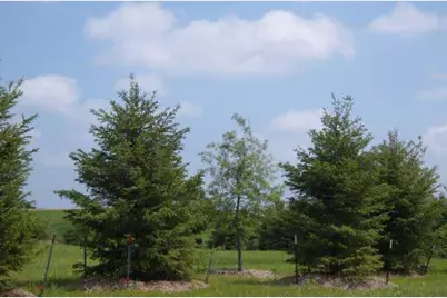 6859 Angelica Trail, Sun Prairie, WI 53590 - Photo 4