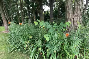 W11380 Ninabuck Rd, Columbus, WI 53925 - Photo 6