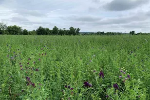 W11380 Ninabuck Rd, Columbus, WI 53925 - Photo 14