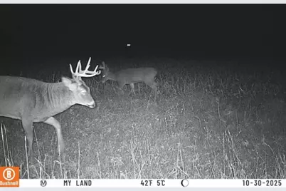 Lot 1 Hwy 22, Montello, WI 53949 - Photo 6