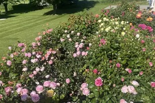 2820 Bluebird Dr, Portage, WI 53901 - Photo 58