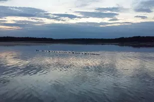 4378 S Jordan Dr, Mcfarland, WI 53558 - Photo 2