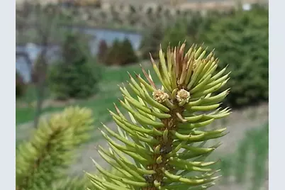 1608 Eileen Court, Brookfield, WI 53597 - Photo 6