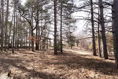 95+/- Ac Riverview Dr Acres, Montello, WI 53949 - Photo 10