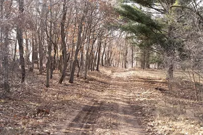 95+/- Ac Riverview Dr Acres, Montello, WI 53949 - Photo 28