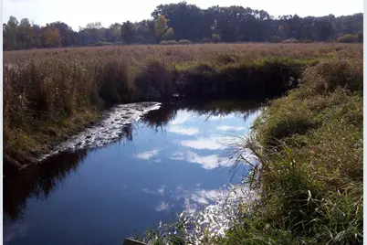 Wilcox Road, Portage, WI 53901 - Photo 36