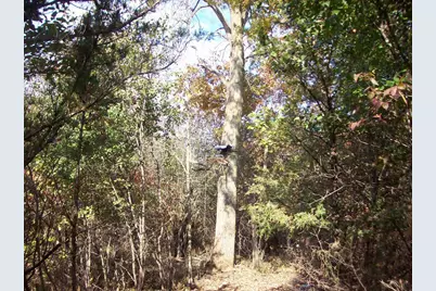 Wilcox Road, Portage, WI 53901 - Photo 32