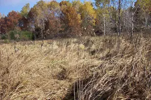 Wilcox Rd, Portage, WI 53901 - Photo 1