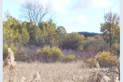 Wilcox Road, Portage, WI 53901 - Photo 18