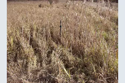 Wilcox Road, Portage, WI 53901 - Photo 20