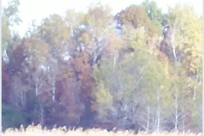 Wilcox Road, Portage, WI 53901 - Photo 10