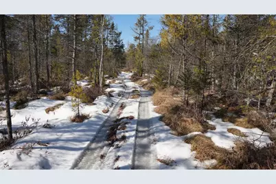 80 Ac King Lane Acres, Rosholt, WI 54473 - Photo 16