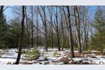 80 Ac King Lane Acres, Rosholt, WI 54473 - Photo 18