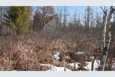 80 Ac King Lane Acres, Rosholt, WI 54473 - Photo 20