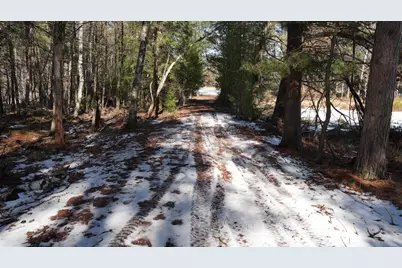 80 Ac King Lane Acres, Rosholt, WI 54473 - Photo 24