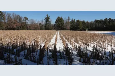 80 Ac King Lane Acres, Rosholt, WI 54473 - Photo 22