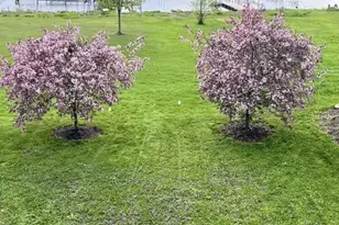 N4235 Hillside Ln, Cambridge, WI 53523 - Photo 78